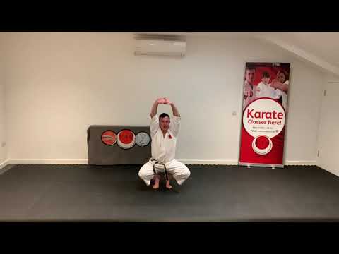 Intermediate Kumite with Sensei Jason