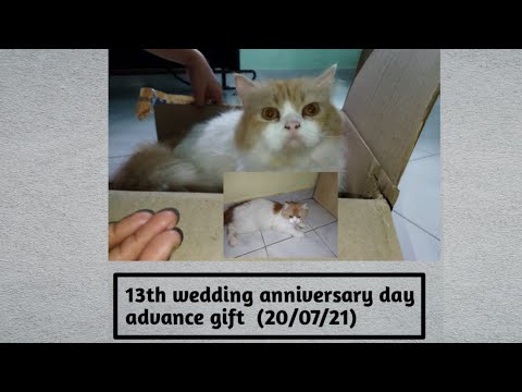13th wedding anniversary day advance gift  (20/07/21)