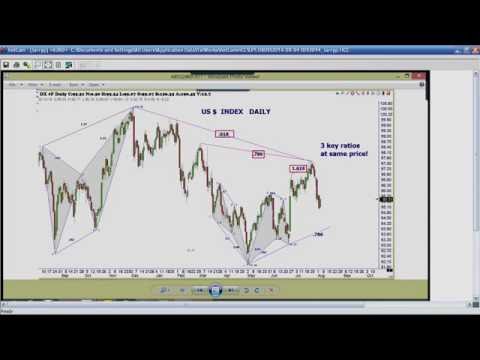 August 4th Trade What You See with Larry Pesavento on TFNN - 2016