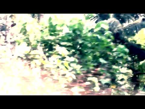 Bazoo - Pawas feat. Matthias Keul