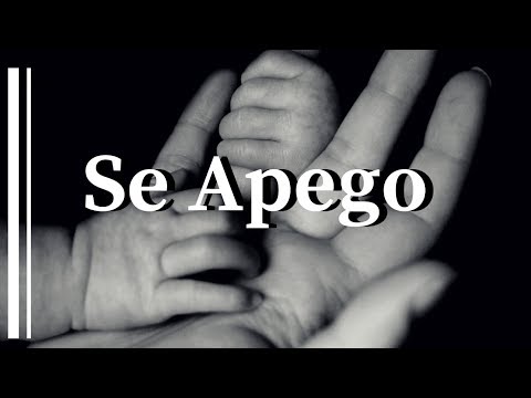 Por cuanto a Mi se Apegó "8vo Día" - Jaime Ospino / Cover