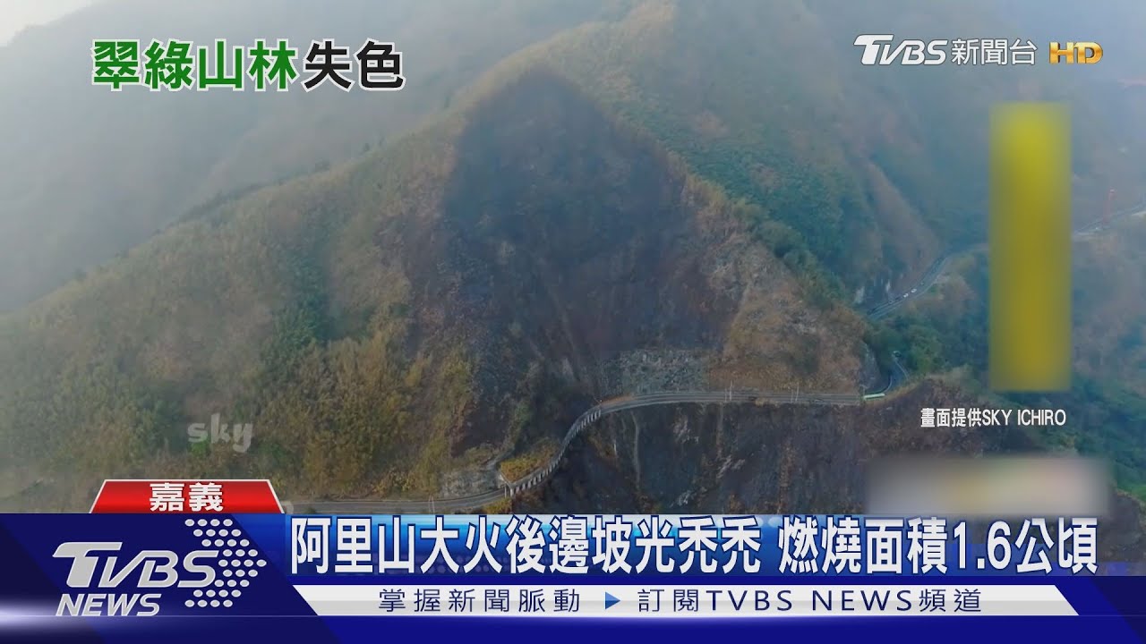 阿里山大火後邊坡光禿禿 觀光損失逾4千萬