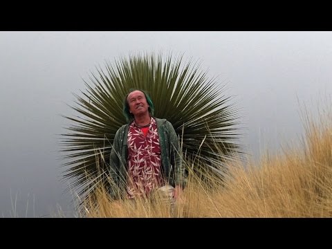 FIELD TRIP WITH PATRICK BLANC IN PERU - ALTIPLANO TO PUERTO MALDONADO & LAKE TITICACA