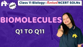 Biomolecules Class 11 Biology | Revised NCERT Solutions | Chapter 9 Questions 1-11