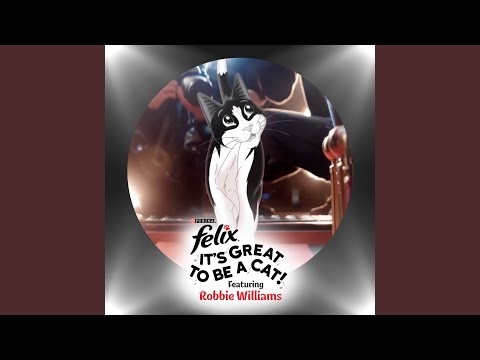 It's Great to Be a Cat