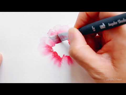 Princeton Aqua Elite Angular Shade 1/2"