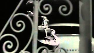 Williamson-Hopkins-Walker - 1960's Folk Blues Medley