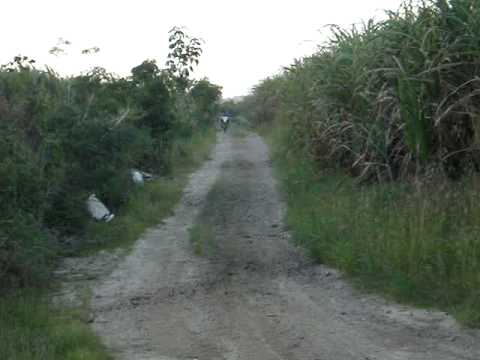 801 boonics mekkin d 125 work