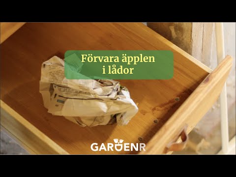 Förvara äpplen i lådor - Trädgårdshacks med GardenR