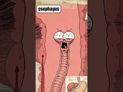 Boğazınıza bir şey takıldığında yapılabilecek en kötü şeyler#shorts