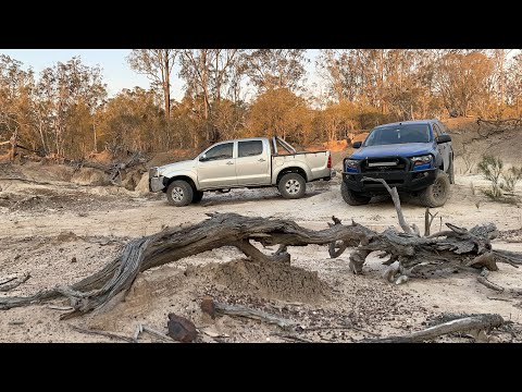 Episode 5 - Friday Arvo Ripley Madness