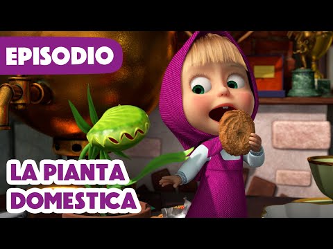 💥Nuovo episodio 2025💥 Masha e Orso 🐻👱‍♀️La pianta domestica🌱🍽️🔔(Episodio 99)💥How to Train Your Plant