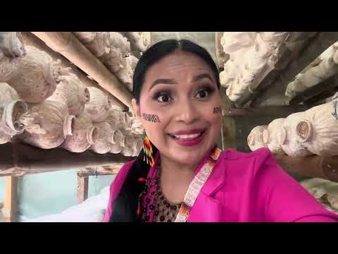 En los cultivos de hongos 😍😌#tena # napo 