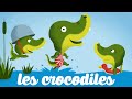 Les crocodiles 🌴🌴🌴 Petites comptines pour bébé avec paroles