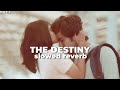 The Destiny Slowed Reverb Premalu Bgm Slowed Reverb Naslen Mamitha Baiju Imotional Bgm