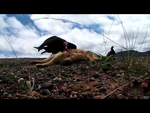 7ª Etapa - Brasil Ride 2012