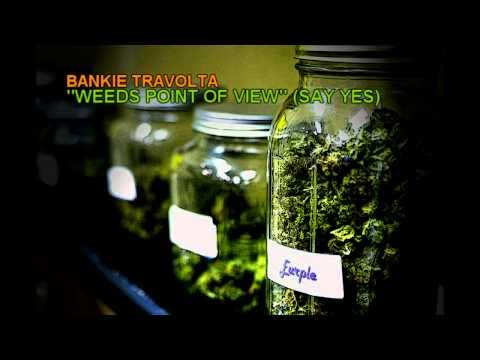 Bankie Travolta Weeds Point Of View (Say Yes)