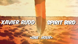 Download lagu ✨Xavier Rudd • Spirit Bird🪶 (Extended | 1H)✨ mp3