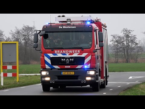 P1, Brandweer De Westereen [TS 02-4332] naar auto in sloot De Bjirken Feanwâlden