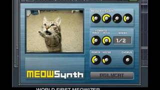 Video thumbnail for KNOBSTER Meowsynth by knobstervideo