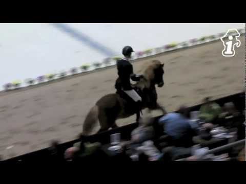 WorldTölt 2013 - V1-Finale - www.isibless.de