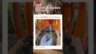 【悲報】日本の神域、外国人のテーマパーク化する #政治 #日本 #時事ニュース