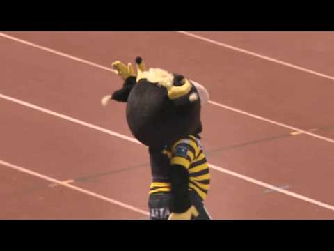 Résumé : Stade Montois 16-10 USM - 2018/19 - J#22