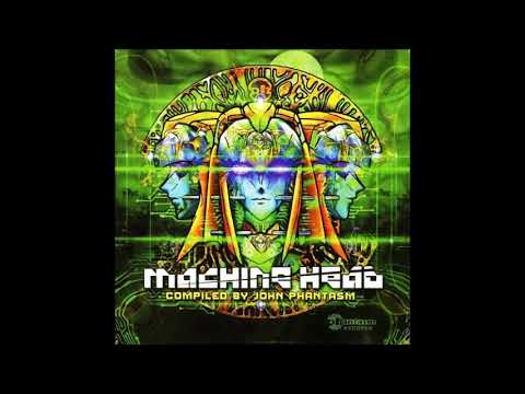 Dynamic -  Virus Infection