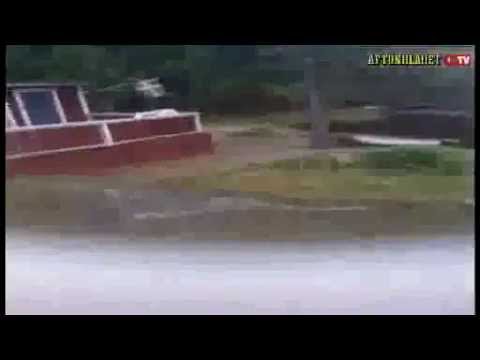 Ola skulle pissa - då kom björnen (Björnattack Ljusdal)