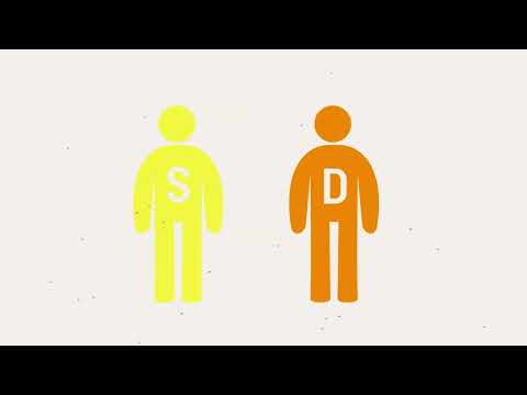 Class-D Orientation guide