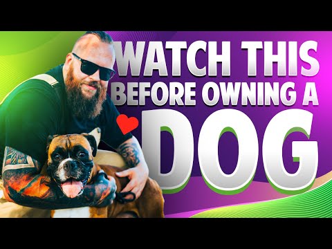 Things To Know Before Getting A Dog