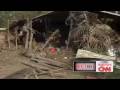 Suffering In Sri Lanka