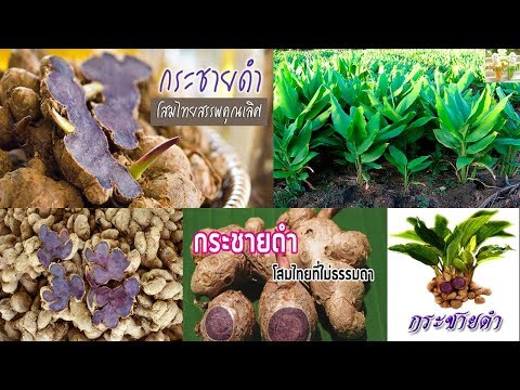 ราคาสำหรับยาเสพติดเพื่อเพิ่มความแข็งแรง ซื้อเชื้อโรคที่แข็งแกร่ง