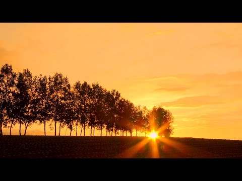 Easy Iistening Music 3 Hours - Relaxing piano music - Soothing, Calming - 癒しのピアノ曲,長時間視聴