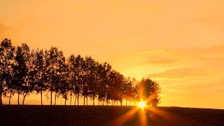 Relaxing piano music〜3 Hours〜Soothing and Calming Piano Music