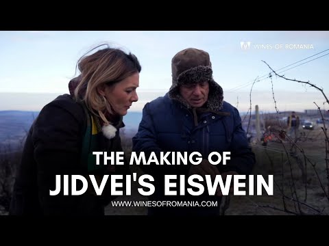 The making of Jidvei's Eiswein