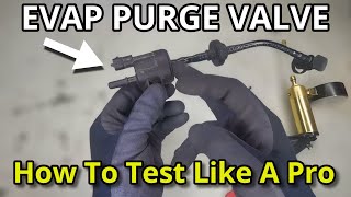 EVAP Purge Solenoid Valve - Quick & Easy Testing With Step By Step Guided Instructions