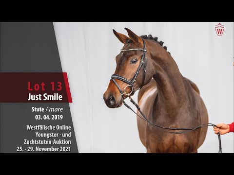 Youngster- und Zuchtstuten-Auktion Lot 13 Just Smile Stute v. Jovian Sir - Heinrich