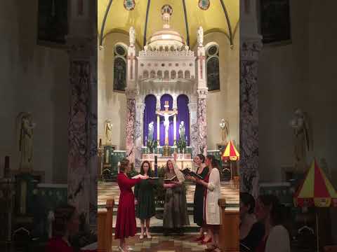 Corde natus ex parentis