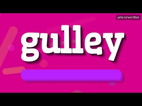 GULLEY - HOW TO SAY GULLEY? #gulley