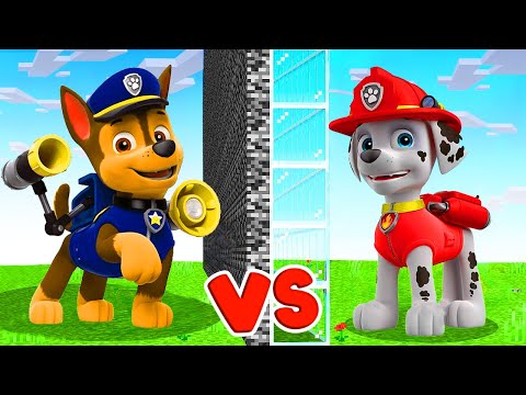 Paw Patrol vs Synti in EPIC Minecraft Mob Battle!