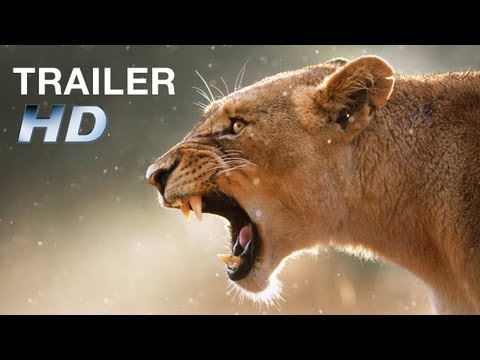 Trailer African Safari 3D