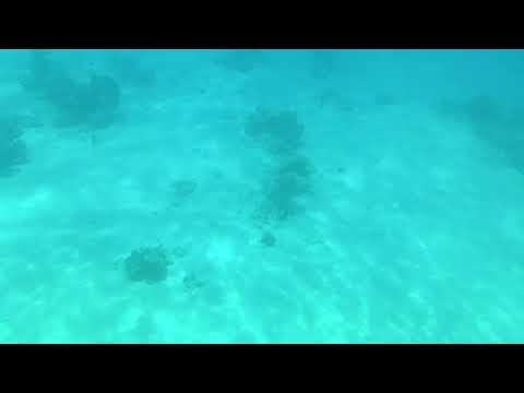 Seascope Sunmarine - Video 06.