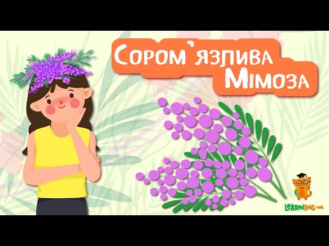 🍀 Дива природи. Явища навколо нас. Соромлива мімоза 🌏