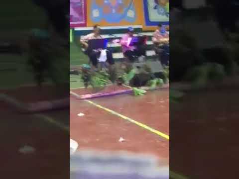 TE NUIARII Gala VAIRAO Viva Espana