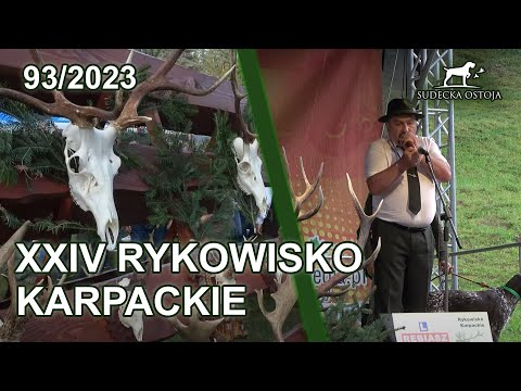 SUDECKA OSTOJA 93/2023 XXIV Rykowisko Karpackie - kamera u widzów Sudeckiej Ostoi!
