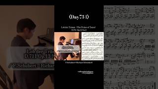 Download lagu 〈Day734〉Lob der Tränen D.711 Op.13 No.2 / F.Schubert=Richard Metzdorff #piano #pianist mp3