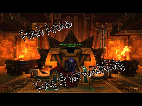 Feral Druid 2v2 arena becomes 1v2