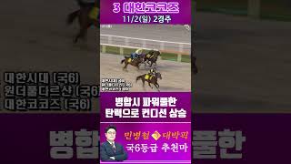 [서울 경마] 민병철 대박픽 2025년 11월 2일 일요 2R 추천마2 #경마 #하이라이트 #한국마사회 #검빛 #고배당 #코리아