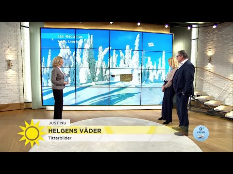 Kan du skilja på dagsmeja och tö? - Nyhetsmorgon (TV4)